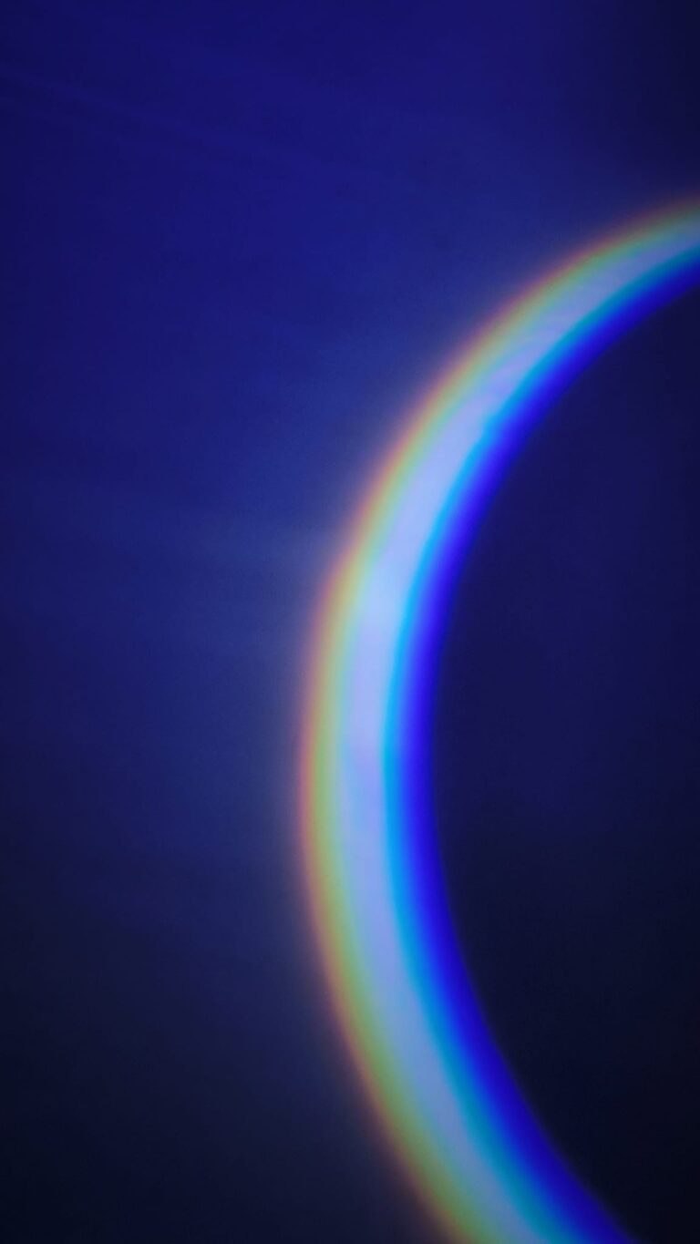 WhatsApp Image 2025-02-02 at 19.50.29 (3)